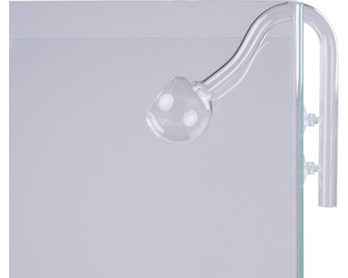 Glas-Lily-Pipe am Aquarium