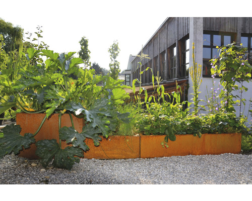 Hochbeet bepflanzt mit Gemüse und Kräutern vor einem Gebäude