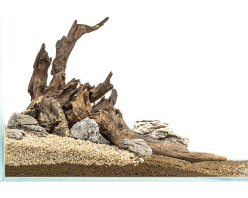 Aquariengestaltung mit Wurzelholz, Steinen und Sand
