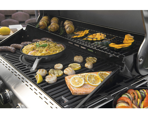 Grill mit Speisen wie Fisch, Gemüse, Kartoffeln, Nudeln und Wurst