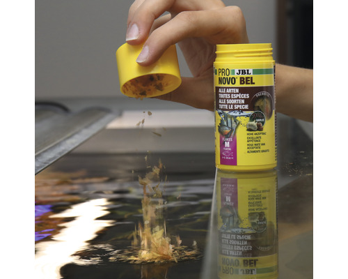 JBL Novo Bel Fischfutter mit Knoblauch wird ins Aquarium gestreut.