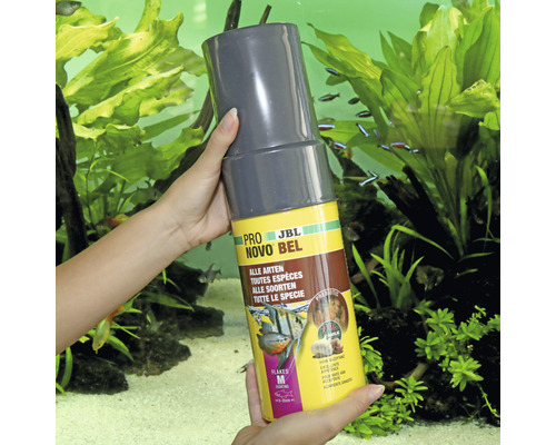 JBL Novo Bel Fischfutter Dose in Händen vor Aquarium