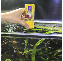 JBL Pro Novo Guppy Flockenfutter für Zierfische im Aquarium
