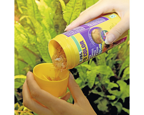 Eine Person gießt Flockenfutter der Marke JBL Novo Color in einen Messbecher.