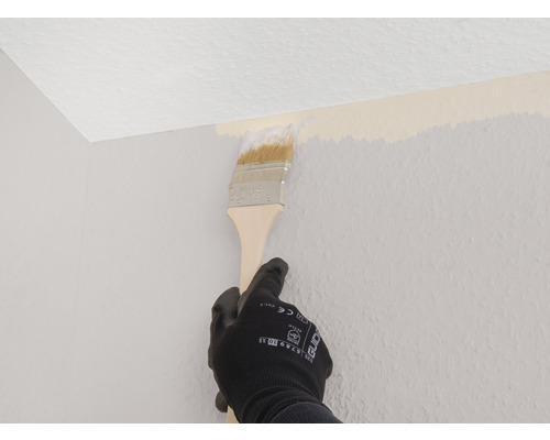 Person streicht Wand mit einem Pinsel