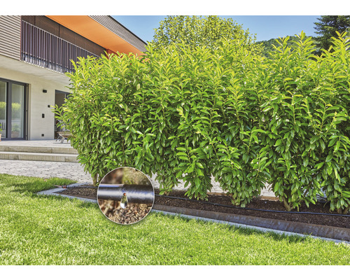 Tropfbewässerungssystem im Garten zur Bewässerung von Pflanzen