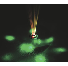 Dekorative Lichtprojektion mit Farbmustern
