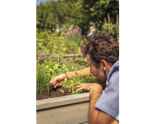 Mann installiert ein Bewässerungssystem in einem Hochbeet mit Kräutern und Pflanzen.