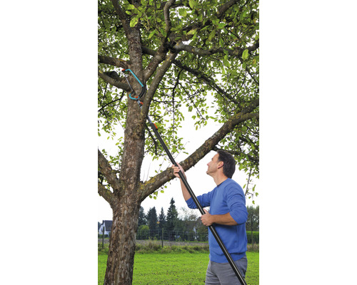 Mann schneidet Äste mit einer Astschere an einem Baum im Garten.