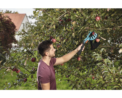 Ein Mann erntet Äpfel mit einem Apfelpflücker im Garten.