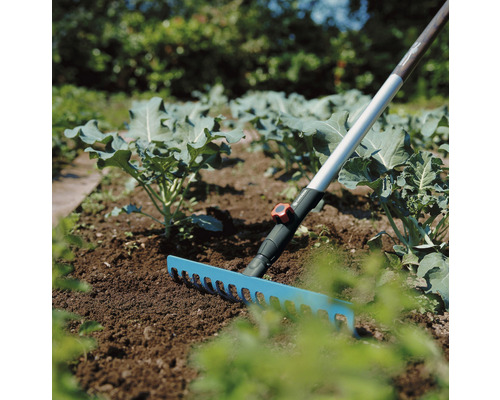 Gartenszene mit Bodenharke zum Auflockern der Erde