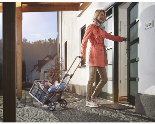 Frau mit Einkaufstrolley vor Haustür