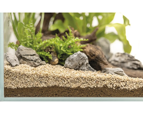 Aquarium mit Bodengrund, Steinen, Wurzelholz und Pflanzen