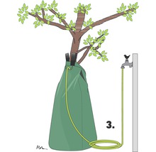Illustration eines Baumes mit einem Bewässerungssack und einem angeschlossenen Wasserschlauch