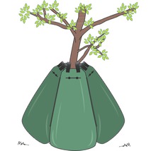 Illustration eines Baumes mit Bewässerungssack
