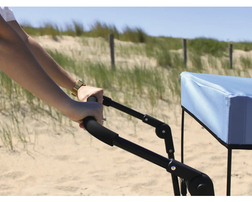 Person schiebt einen Bollerwagen am Strand.