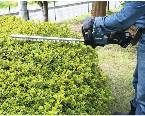 Eine Person schneidet eine Hecke mit einer Makita Heckenschere.