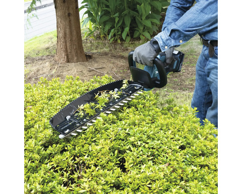 Eine Person schneidet eine Hecke mit einer Akku Heckenschere.