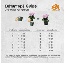 Kulturtopf-Guide mit Größenübersicht für Pflanztöpfe und Übertöpfe