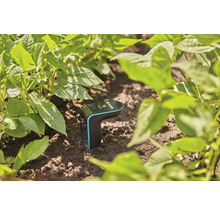 Gardena Smart Sensor im Beet zur Bodenfeuchtemessung