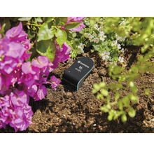 Gardena Smart Sensor im Pflanzbeet zur Bodenfeuchtemessung