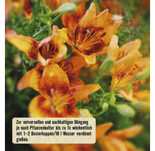 Pflanzennahrung FloraSelf Nature BIORGA organischer Dünger 1 L vegan-thumb-2 Pflanzennahrung FloraSelf Nature BIORGA organischer Dünger 1 L vegan-thumb-2