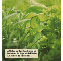 Kräuterdünger FloraSelf Nature BIORGA organischer Dünger 0,5 kg vegan-thumb-2 Kräuterdünger FloraSelf Nature BIORGA organischer Dünger 0,5 kg vegan-thumb-2