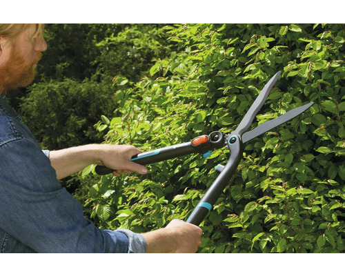 Eine Person schneidet eine Hecke mit einer Heckenschere.