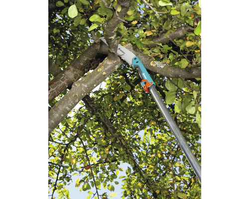 Gardena Astsäge an einem Baumast im Einsatz
