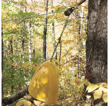Baumschaukel mit Kettenaufhängung im Wald