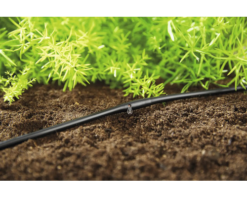 AIEX 100 Stück Tropf Bewässerung Stopfen, 6mm Tropfschlauch Endkappe  Tropfbewässerungsstopper Tropfschlauch Bewässerung Set für Zuhause Garten  Rasen (Schwarz) : : Garten