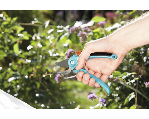 Eine Hand hält eine Gartenschere vor einem Garten.