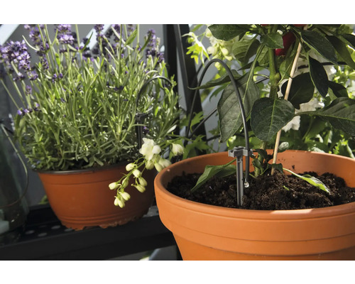 Automatische Bewässerung für Topfpflanzen im Einsatz.