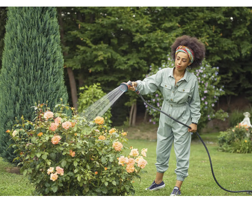 Eine Frau gießt Rosen mit einem Gartenschlauch im Garten.