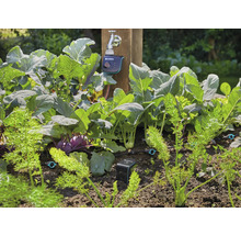 Bewässerungscomputer GARDENA smart-thumb-1 Bewässerungscomputer GARDENA smart-thumb-1