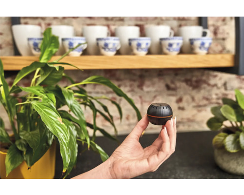 Eine Hand hält einen runden, schwarzen Pflanzensensor vor einer Zimmerpflanze und Tassen.