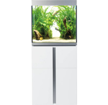 Aquarium mit Unterschrank, bepflanzt und mit Fischen