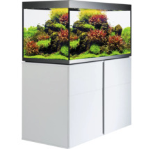 Aquarium mit Unterschrank und Bepflanzung