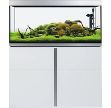 Aquarium mit Unterschrank und Inneneinrichtung