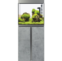 Eingerichtetes Aquarium mit Unterschrank