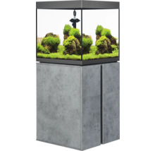 Aquarium mit Unterschrank, dekoriert mit Steinen und Pflanzen