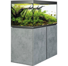 Aquarium mit Unterschrank, bepflanzt und mit Fischen