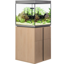 Aquarium mit Unterschrank und Pflanzen