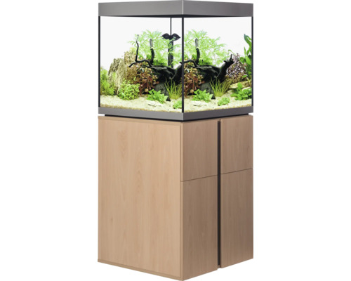 Aquarium mit Unterschrank und Pflanzen