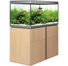 Aquarium mit Unterschrank
