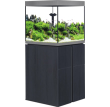 Aquarium mit Unterschrank zur Fischhaltung und Dekoration