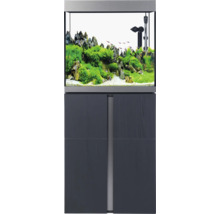 Eingerichtetes Aquarium mit Unterschrank