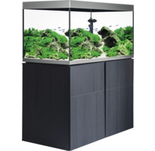 Aquarium mit Unterschrank, inklusive Dekoration, Pflanzen und Fischen