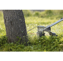 Rasentrimmer im Einsatz um einen Baum herum.