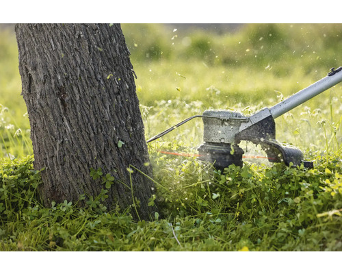 Rasentrimmer im Einsatz um einen Baum herum.